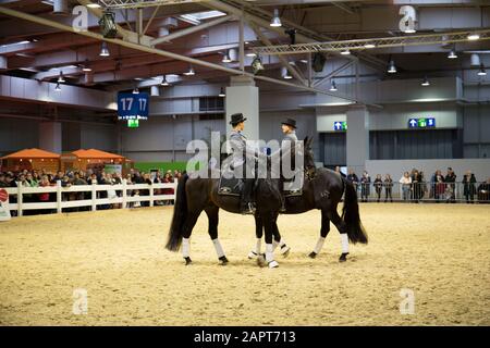 impressioni della fiera del cavallo 2019 ad hannover, bassa sassonia, germania Foto Stock