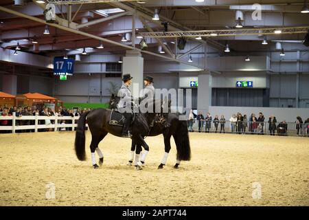 impressioni della fiera del cavallo 2019 ad hannover, bassa sassonia, germania Foto Stock