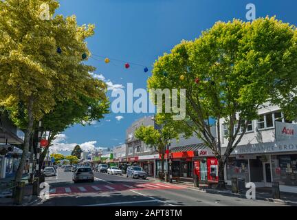 Golden Elm Trees at High Street a Motueka, Tasman District, South Island, Nuova Zelanda Foto Stock