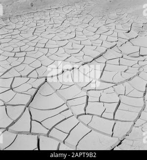 Israele 1964-1965: Area del Mar Morto Terra Bruciata sul Mar Morto. Date: 1964 Location: Dead Sea, Israel Keywords: Burst Foto Stock