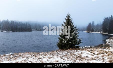 Oder stagno nelle montagne di Harz con un albero singolo Foto Stock