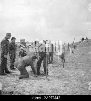 Israele 1948-1949 Piantando alberi il 15 maggio 1949 nel primo anniversario dell'indipendenza di Israele in memoria dei soldati caduti Data: 15 maggio 1949 luogo: Israele Parole Chiave: Alberi, commemorazioni, militari, feste nazionali, uniformi Foto Stock