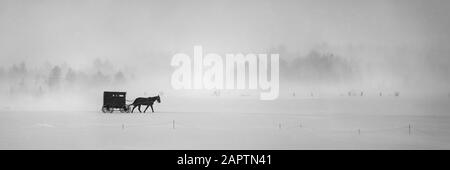 Cavallo e buggy in una tempesta di neve; Sault St. Marie, Michigan, Stati Uniti d'America Foto Stock