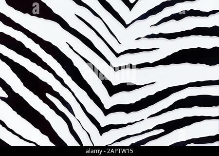 Sfondo Zebra. Nero e bianco 3D strisce di una zebra. Foto Stock