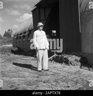 Viaggio al Suriname e alle Antille Olandesi Van Dijk Sr. A Nieuw-Nickerie in un magazzino Annotazione: La famiglia di ingegneria Van Dijk ha sviluppato la cultura meccanica del riso in Nickerie Data: Ottobre 1947 Località: Nickerie, Suriname Parole Chiave: Ritratti, uniformi Nome personale: Dyke Sr., [.] di Foto Stock