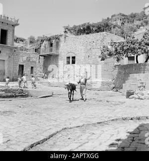 Il villaggio di Peki'in Galilea. Una strada freelance con un uomo con un asino pieno e bambini giocare. Rapporto/Serie: Israele - Peki'In; Foto Stock