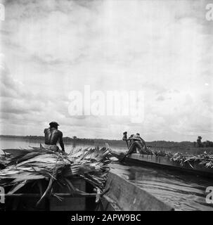 Viaggio in Suriname e le Antille Olandesi Korjalen sul Marowijnerivier vicino Langetabbetje in Suriname Data: 1947 Località: Langatabbetje, Marowijne, Suriname Parole Chiave: Fiumi, navi Foto Stock