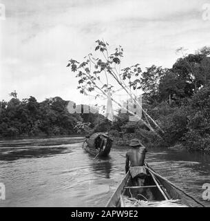 Viaggio in Suriname e le Antille Olandesi Korjalen sul Marowijnerivier Data: 1947 luogo: Marowijne, Suriname Parole Chiave: Fiumi, canottaggio, navi Foto Stock