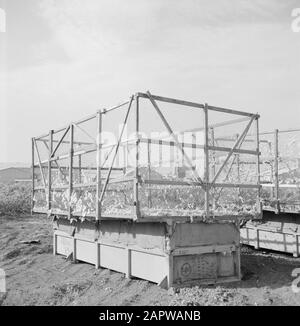 Israele: Huleh macchina agricola per la raccolta del cotone Data: Undata: Undata luogo: Huleh, Israele Parole Chiave: Arativo, cotone, macchine Foto Stock