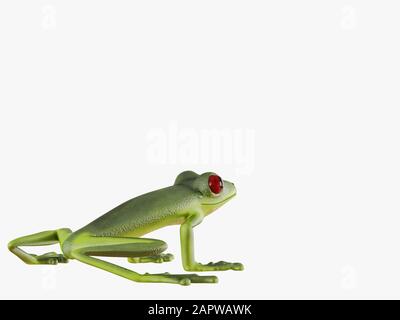 Rana verde su sfondo bianco rendering 3d Foto Stock