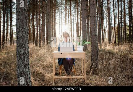 donna in viaggio che lavora su un computer portatile e una scrivania in una foresta tranquilla Foto Stock