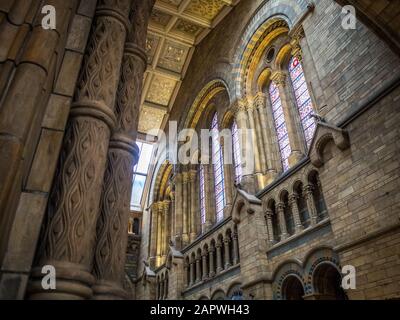 Londra, REGNO UNITO - 06 ottobre 2017: Londra, Regno Unito - 7 OTTOBRE 2017: National History Museum, è uno dei musei più amati dalle famiglie di Lond Foto Stock
