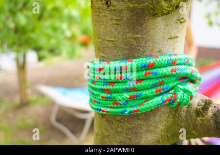 Primo piano di una corda verde avvolta intorno ad un albero Foto Stock