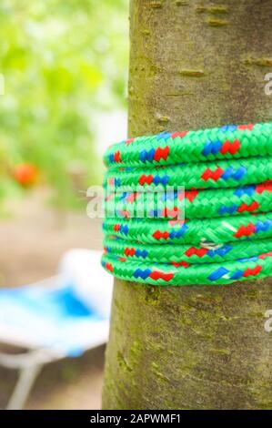 Scatto verticale di una corda verde avvolta intorno ad un albero Foto Stock