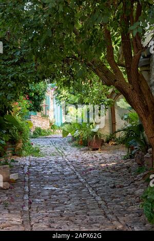 La vista della strada lastricata in pietra fiancheggiata da fiori sotto il baldacchino di alberi nel villaggio di Lania. Limassol. Cipro Foto Stock