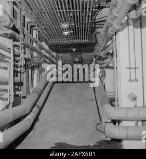 Rehovot. Istituto Weizmann: Interno di uno degli edifici sul sito dell'istituto con un gran numero di tubi Data: 1 gennaio 1963 Località: Israele, Rehovot Parole Chiave: Chimica, laboratori, educazione scientifica, ricerca scientifica Nome personale: Weizmann, Chaim Foto Stock