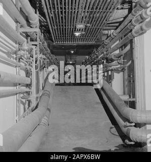 Rehovot. Istituto Weizmann: Interno di uno degli edifici sul sito dell'istituto con un gran numero di tubi Data: 1 gennaio 1963 Località: Israele, Rehovot Parole Chiave: Chimica, laboratori, educazione scientifica, ricerca scientifica Nome personale: Weizmann, Chaim Foto Stock