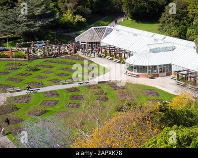 Lady Norwood Rose Garden Nei Giardini Botanici Di Wellington Foto Stock