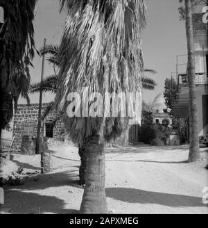 Tiberias-Hammat. Edifici vicino al mausoleo di rabbi Meir con una porta con un'iscrizione ebraica e trattato Data: Non data: Luogo: Israele, Tiberias Parole Chiave: Alberi, storia, religione ebraica, cupole, mausolei, iscrizioni, cancelli, rabbini, rosone Foto Stock