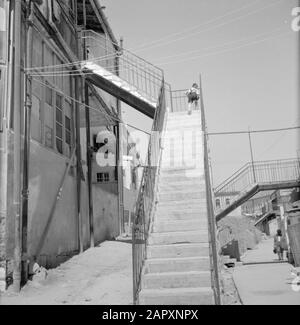 Israele 1964-1965: Gerusalemme (Gerusalemme), Mea Shearim Scale che servono come ingresso alle case in una galleria Annotazione: MEA Shearim, chiamato anche Meah Shearim o un centinaio di porte, è uno dei quartieri più antichi di Gerusalemme. Fu costruito a partire dal 1870 da ebrei asiatici che vivevano nella Città Vecchia fino ad allora. Tuttavia, c'era troppo poco spazio e così comprarono un pezzo di terra a nord-ovest della città. Questa terra, un'area paludata, fu coltivata in terra per costruire un nuovo quartiere: Meah Shearim. Il distretto è noto anno 2012 come il quartiere ebraico ortodosso più estremo del mondo ed è sede di Foto Stock