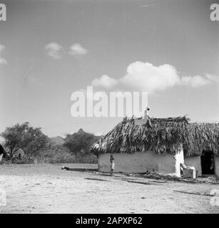 Viaggio a Suriname e Antille Olandesi Due case cunucu il Curaçao Data: 1947 luogo: Curaçao Parole Chiave: Residenze Foto Stock