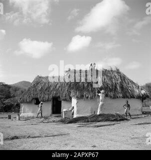 Viaggio a Suriname e Antille Olandesi Due case cunucu il Curaçao Data: 1947 luogo: Curaçao Parole Chiave: Residenze Foto Stock