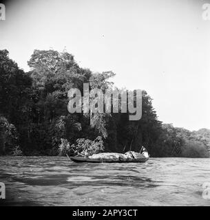 Viaggio in Suriname e Antille Olandesi korjaal carico pesante sul fiume Suriname Data: 1947 luogo: Suriname Parole Chiave: Fiumi, navi Foto Stock