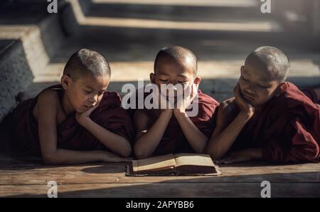 Monaco novizio libro lettura,in monastero, Bagan, Myanmar Foto Stock