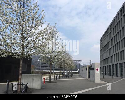 Università di economia, pedagogia e tecnologia a Windisch vicino alla stazione ferroviaria Brugg in primavera alle ore 13. Aprile 2019 Foto Stock