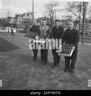 Piante di violetti al Frederiksplein di Amsterdam Data: 28 Marzo 1961 luogo: Amsterdam, Noord-Holland Parole Chiave: Piante Foto Stock