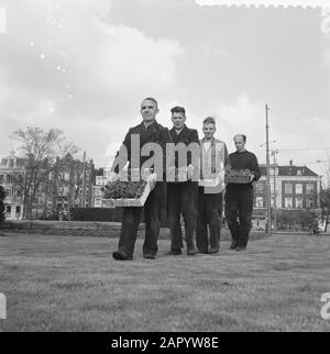 Piante di violetti al Frederiksplein di Amsterdam Data: 28 Marzo 1961 luogo: Amsterdam, Noord-Holland Parole Chiave: Piante Foto Stock