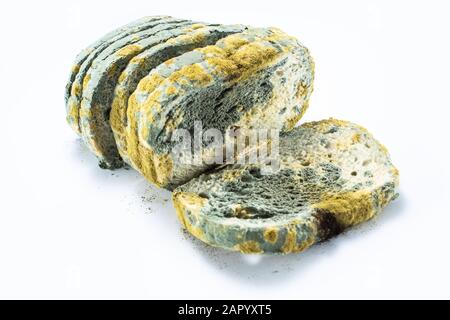 Pane - vecchie e ammuffite affettato, isolato su sfondo bianco. Foto Stock