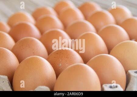 Le uova di pollo marroni sono allineate in un vassoio. Molte uova marroni sono unite nel vassoio Foto Stock