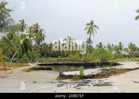 Palme da cocco di sabbia bianca sull'isola vulcanica di Big Island Foto Stock