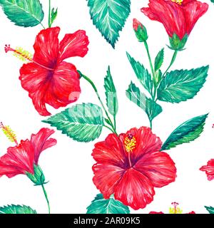 Fiori rossi di rosa ibisco con foglie verdi, illustrazione acquerello dipinta a mano, disegno senza cuciture su sfondo bianco Foto Stock