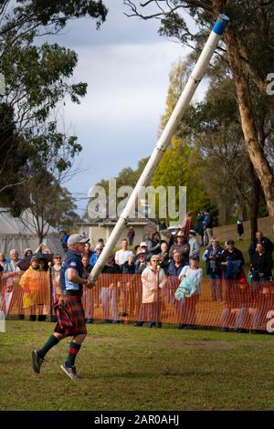 Cantando la Caber ai Giochi delle Highland, Glen Innes Celtic Festival NSW Foto Stock