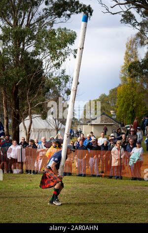 Cantando la Caber ai Giochi delle Highland, Glen Innes Celtic Festival NSW Foto Stock