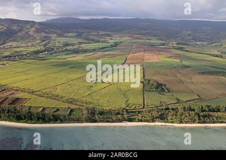 Antenne di campi di canna da zucchero vicino alle cascate subacquee, Mauritius. Foto Stock