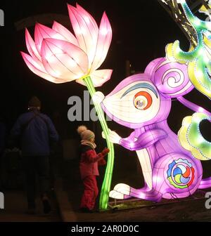 Kiev, Ucraina. 24th Gen 2020. Una lanterna simile al fiore di loto è vista durante una mostra per salutare il Capodanno cinese Lunar a Kiev, Ucraina, 24 gennaio 2020. Credito: Sergey Starostenko/Xinhua/Alamy Live News Foto Stock