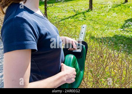 Recinto verde cespuglio di taglio del giardiniere femminile con tagliasiepi elettrici. Foto Stock