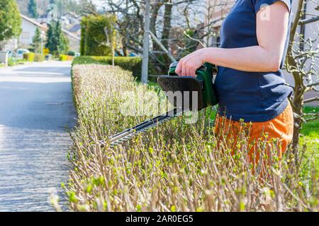 Recinto verde cespuglio di taglio del giardiniere femminile con tagliasiepi elettrici. Foto Stock