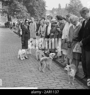 World Animal Day 1964, nutrire gli animali (all'estero) Data: 5 Ottobre 1964 Parole Chiave: Animal Institution Nome: World Animals Day Foto Stock