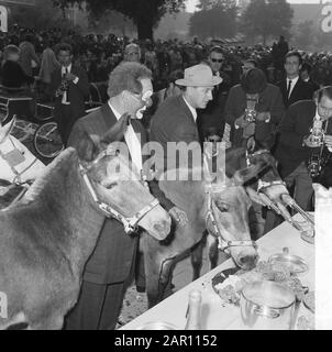 World Animal Day 1964, Nutrire Gli Animali Data: 5 Ottobre 1964 Parole Chiave: Animale, Nutrire Istituto Nome: Giornata Mondiale Degli Animali Foto Stock