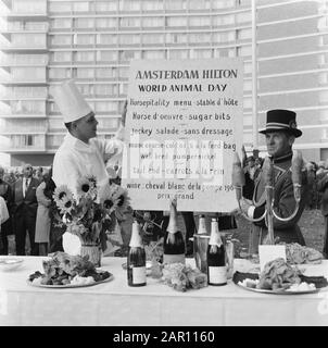 World Animal Day 1964, Nutrire Gli Animali Data: 5 Ottobre 1964 Parole Chiave: Animale, Nutrire Istituto Nome: Giornata Mondiale Degli Animali Foto Stock