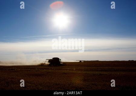 portare la raccolta sulle praterie di saskatchewan tempo di raccolta in campo di grano su massiccia fattoria Foto Stock