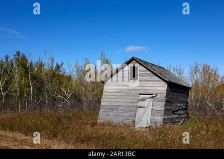 legno vecchio che cade giù fienile di deposito in saskatchewan Foto Stock