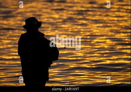 Pesca a mosca del pescatore che si inanella sul Lago di Stoneyford al tramonto, contea antrim nord irlanda silhouette contro riflettere il sole dorato impostazione Foto Stock