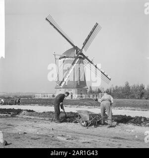 Due parchi sportivi, il prossimo Sabato da Alderman Carriage ha aperto I Lavori sul nuovo Sportpark Sloten; sullo sfondo un mulino Data: 22 Ottobre 1965 Località: Amsterdam, Noord-Holland Parole Chiave: Mulini, strutture sportive Foto Stock