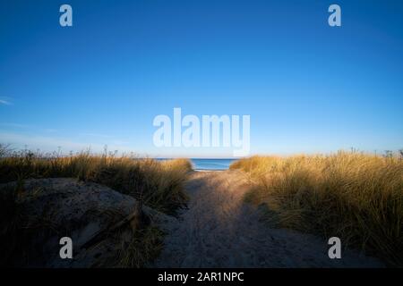 Dune con erba duna sulla spiaggia del Mar Baltico vicino a Warnemünde in Germania Foto Stock