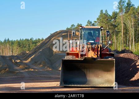 Bonifica di un bosco per la costruzione dell'autostrada A14 nei pressi di Magdeburgo Foto Stock